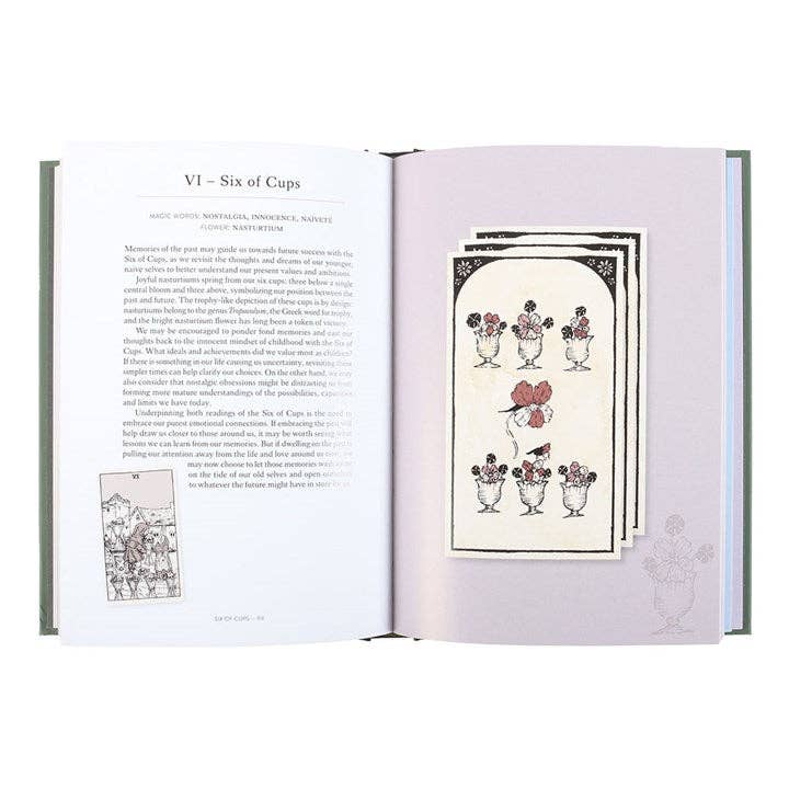 You Will Be Able to Read Tarot by the End of This Book